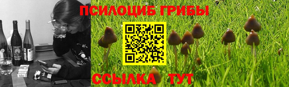 Соликамск  Галлюциногенные грибы Psilocybe  Вход с VPN 